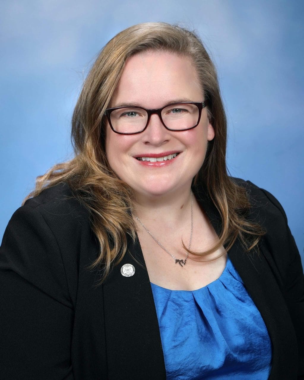 Michigan State Representative Kelly Breen | HB 4725 Passes | Corrections Officers Rights