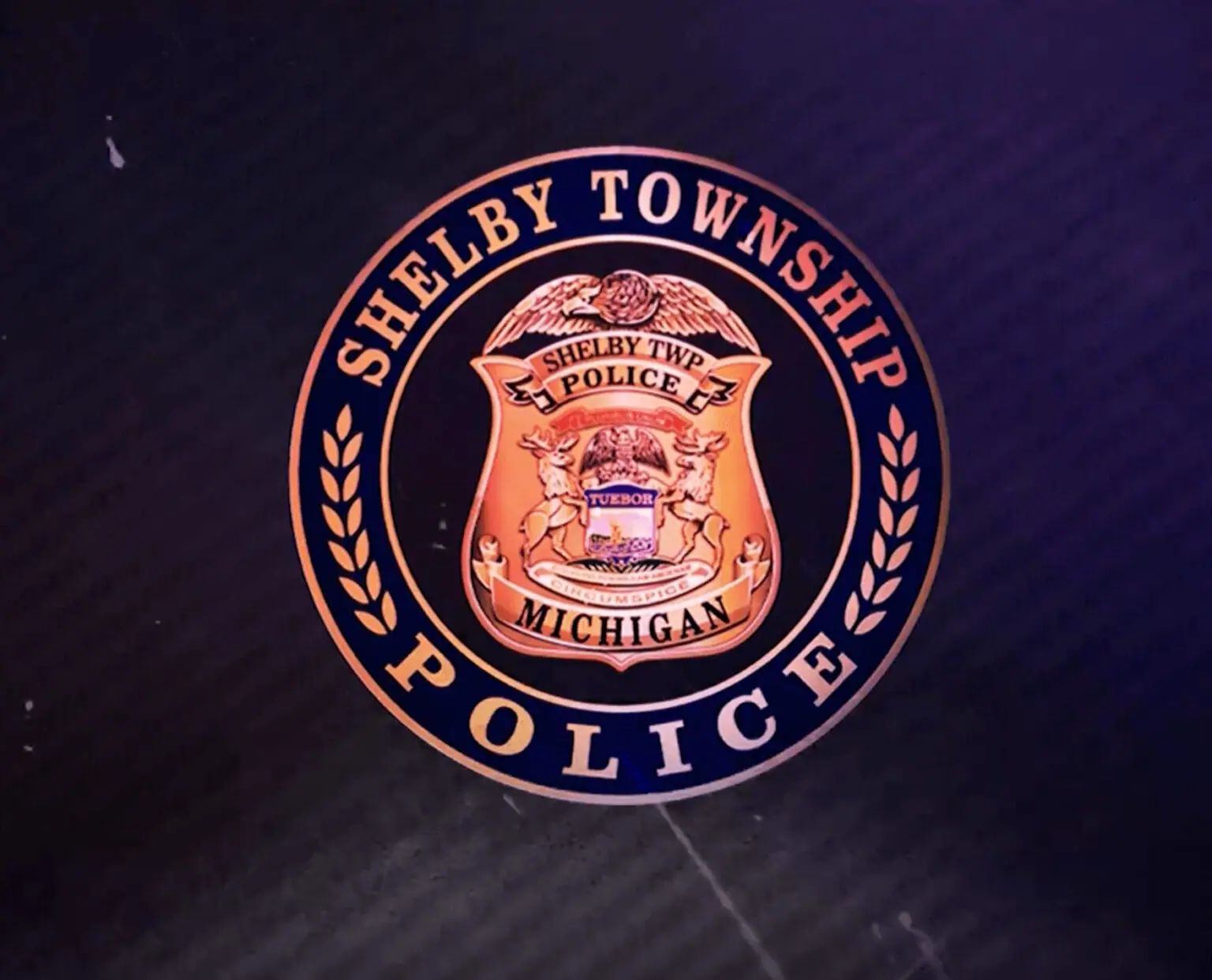 solo-officer-training-police-officers-association-of-michigan